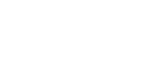 Focus Datascience logo